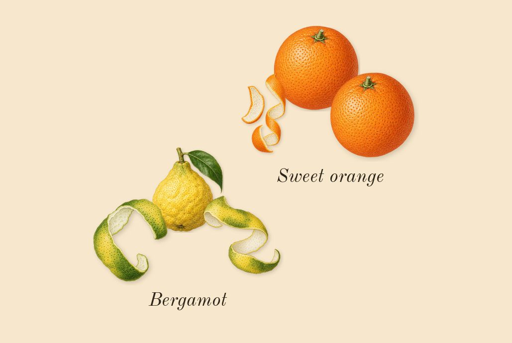 Ana Abiyedh, top notes: Sweet orange, Bergamot