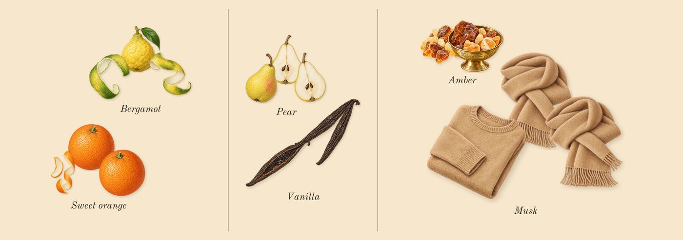 Ana Abiyedh’s scent picture, a draft: sweet orange, bergamot, pear, vanilla, musk, amber drawn so far; dashed outlines where nothing is drawn yet