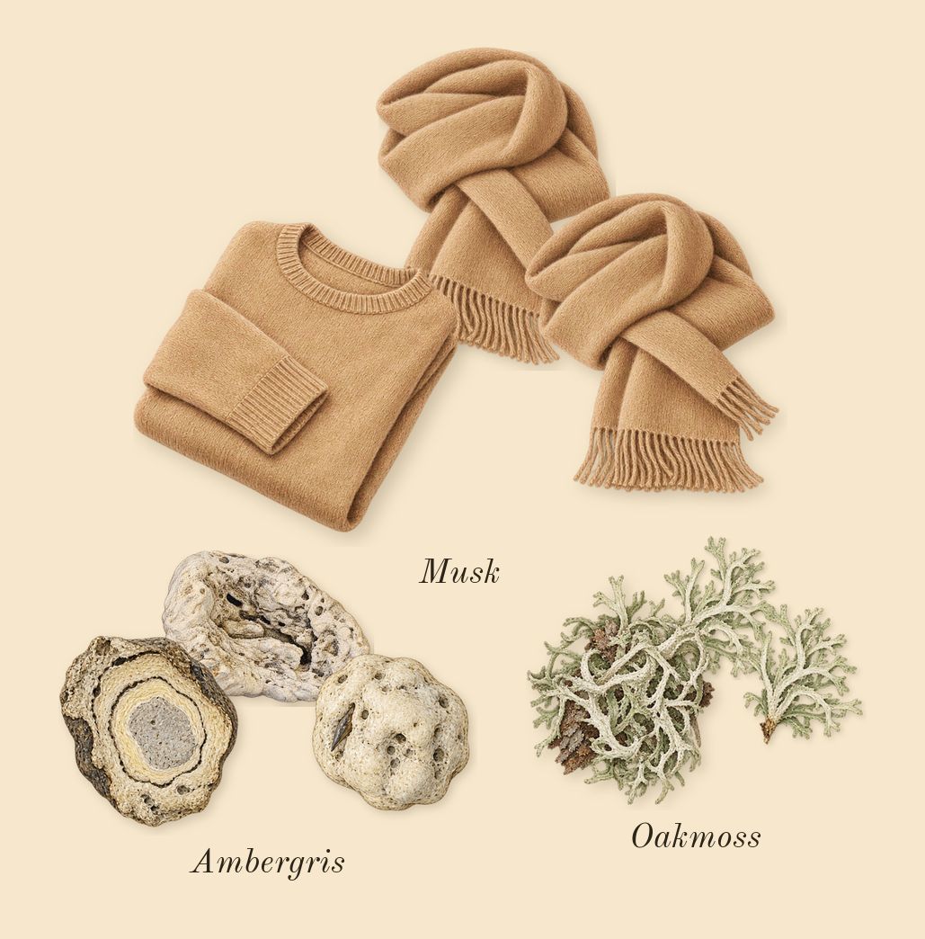 Ana Abiyedh Rouge, dry-down: Ambergris, Musk, Oakmoss