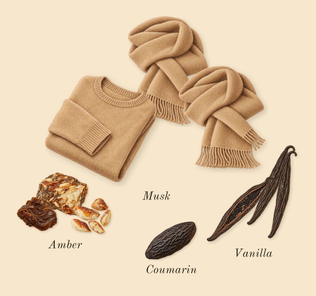 Angham, dry-down: Musk, Vanilla, Coumarin