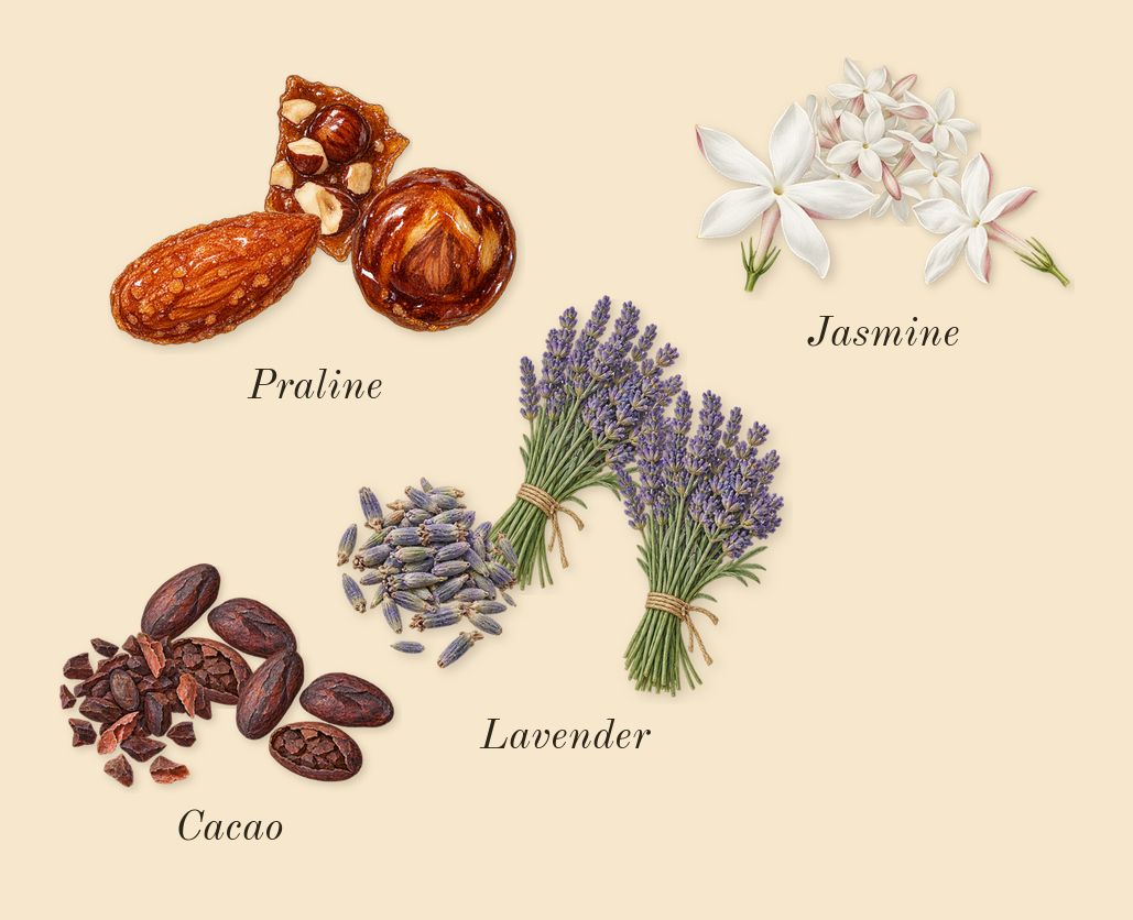 Angham, heart: Praline, Lavender, Cacao, Jasmine