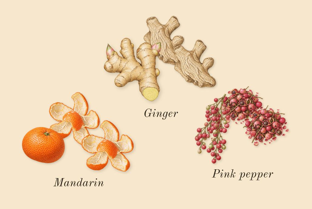 Angham, top notes: Mandarin, Ginger, Pink pepper