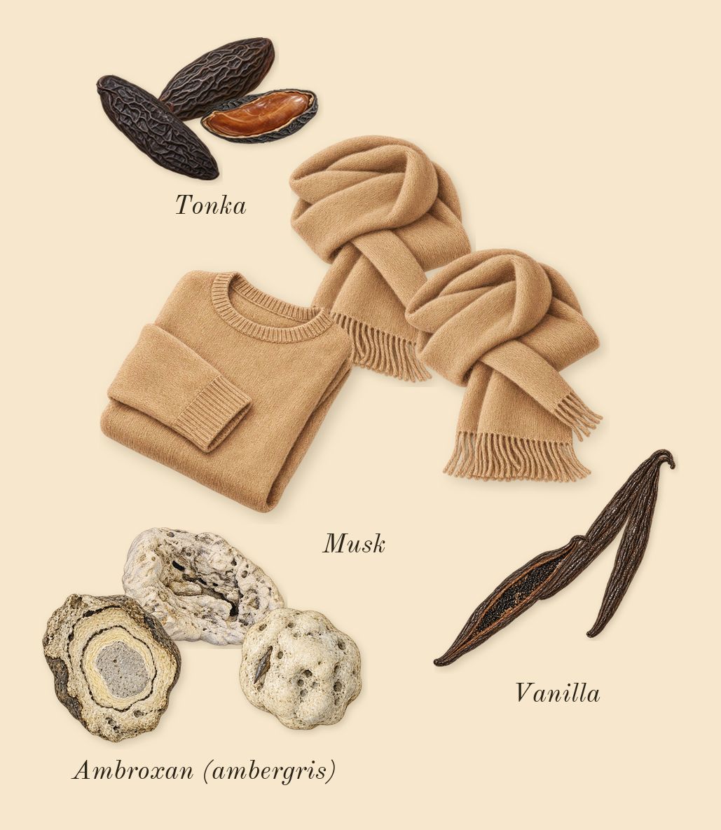 Angham Second Song, dry-down: Vanilla, Tonka, Ambroxan (ambergris), Musk
