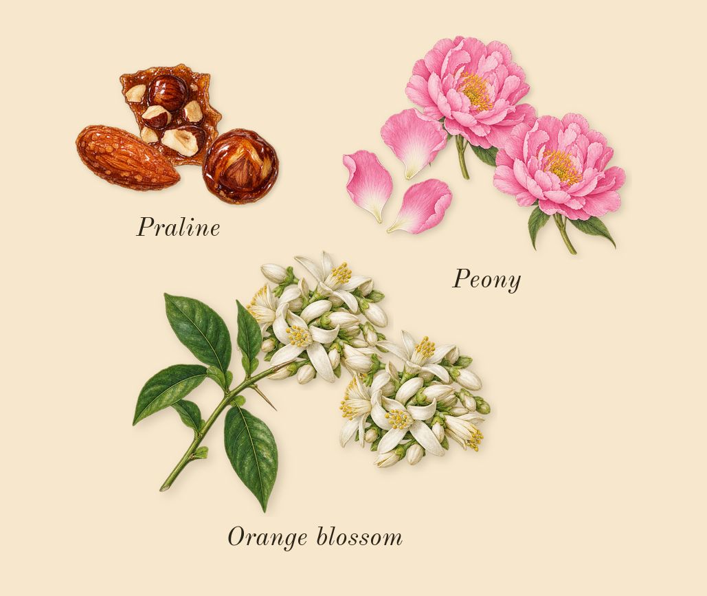 Angham Second Song, heart: Orange blossom, Peony, Praline
