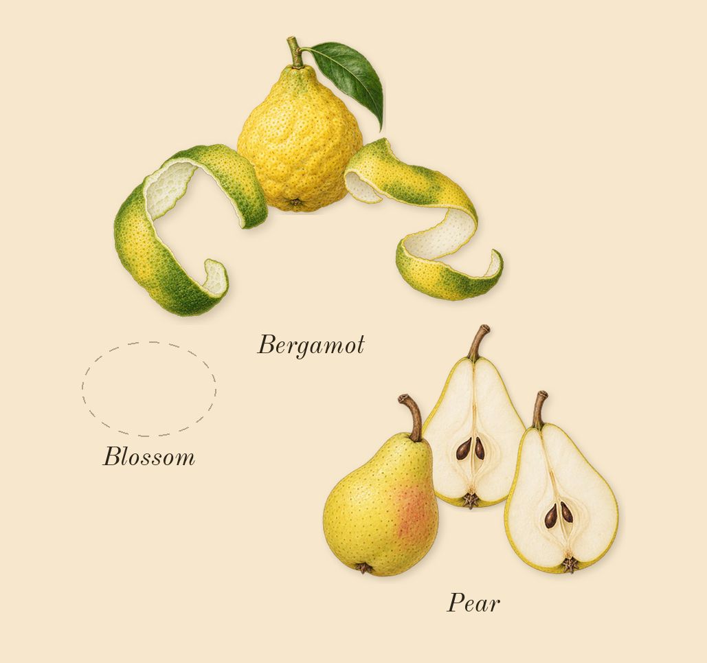 Angham Second Song, top notes: Bergamot, Pear, Blossom