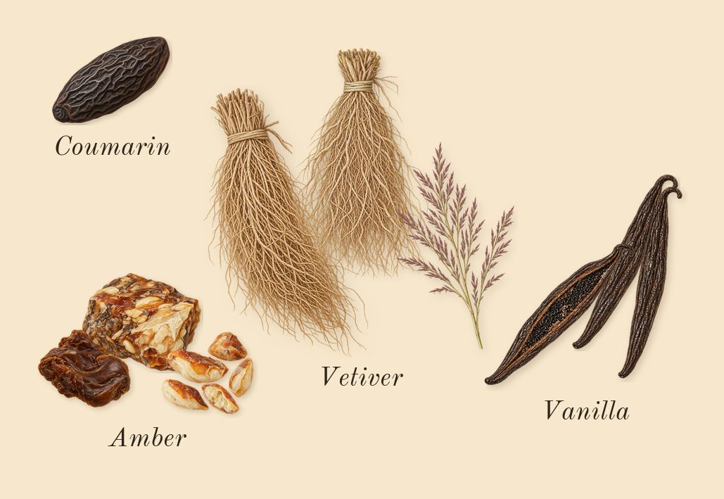 Asad Bourbon, dry-down: Vetiver, Vanilla, Coumarin