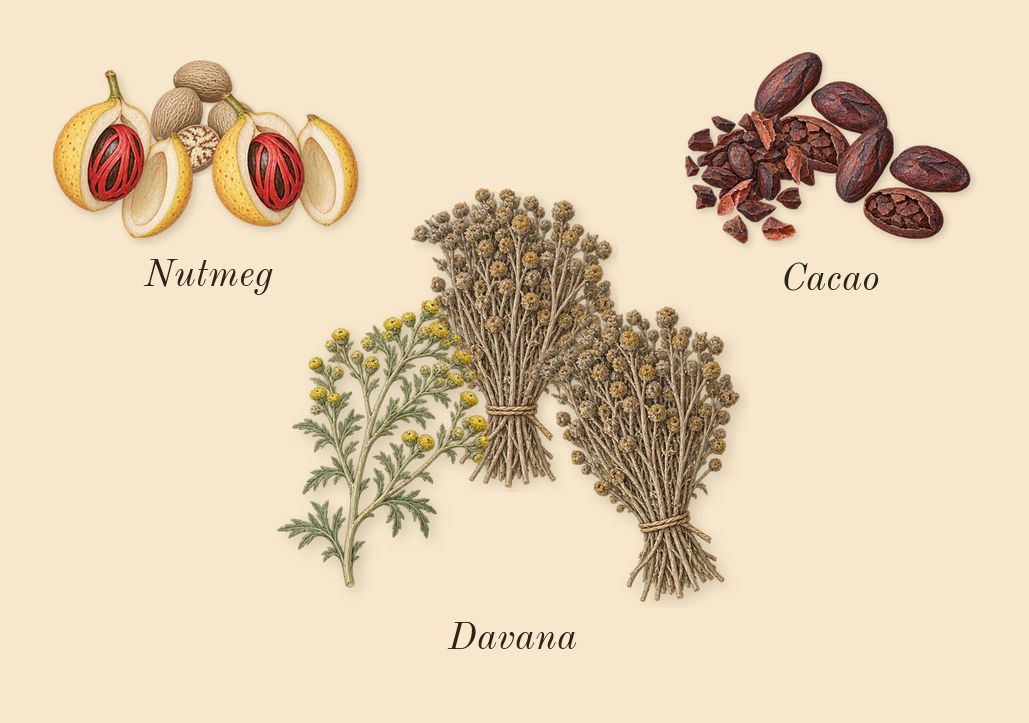Asad Bourbon, heart: Cacao, Davana, Nutmeg