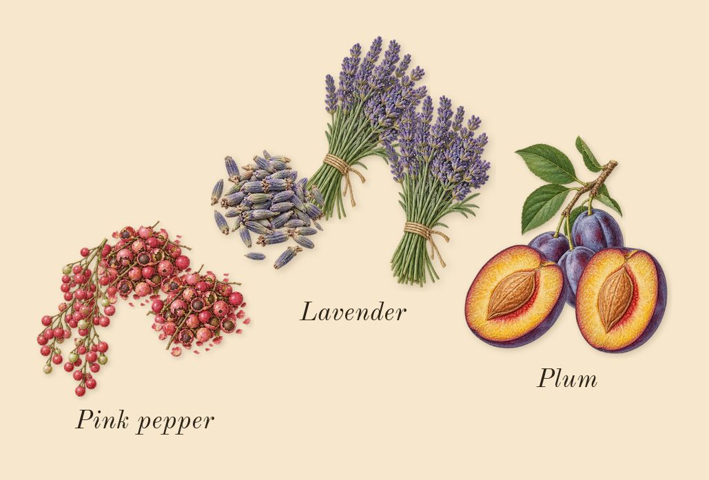 Asad Bourbon, top notes: Pink pepper, Lavender, Plum