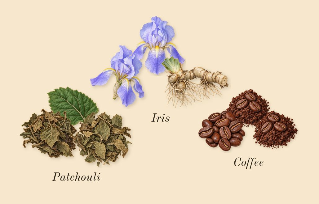 Asad, heart: Coffee, Iris, Patchouli