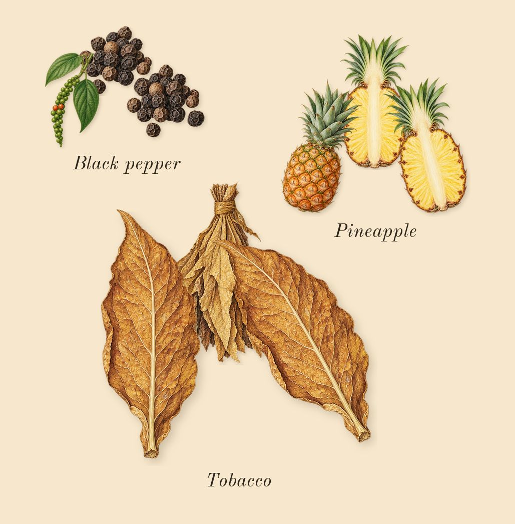 Asad, top notes: Black pepper, Pineapple, Tobacco