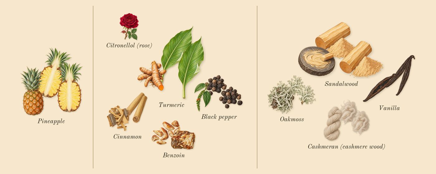 Bade'e Al Oud Honor & Glory’s scent picture, a draft: pineapple, turmeric, cinnamon, black pepper, benzoin, vanilla drawn so far; dashed outlines where nothing is drawn yet