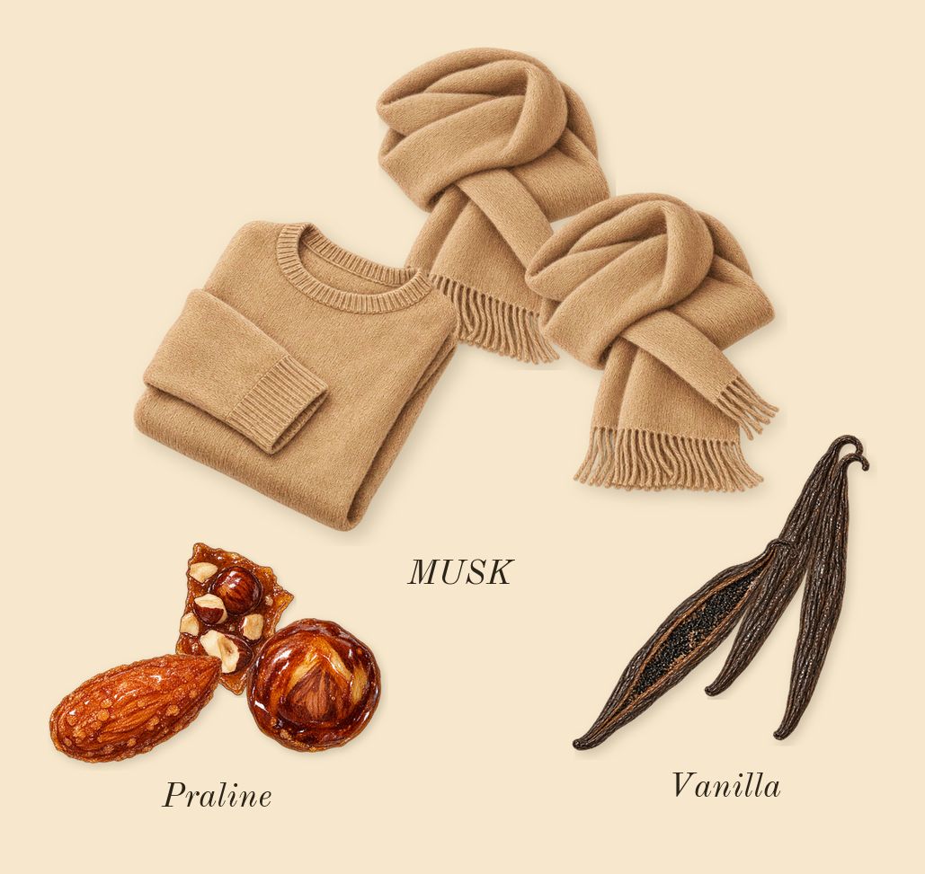 Eclaire, dry-down: Vanilla, Praline, MUSK