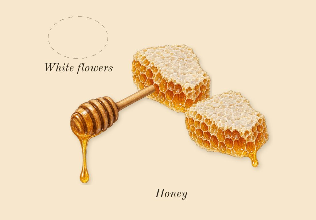 Eclaire, heart: Honey