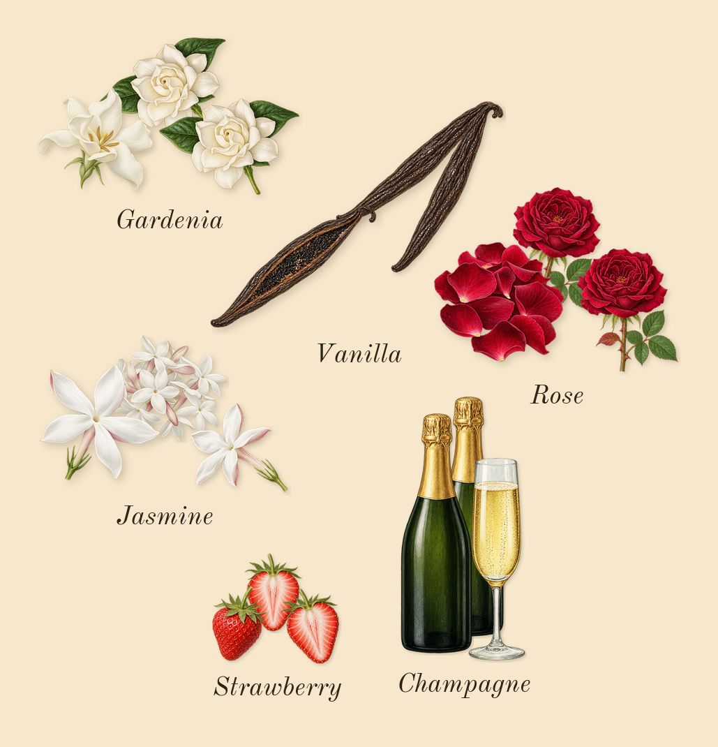 Haya, heart: Gardenia, Vanilla, Jasmine, Champagne, Strawberry, Rose