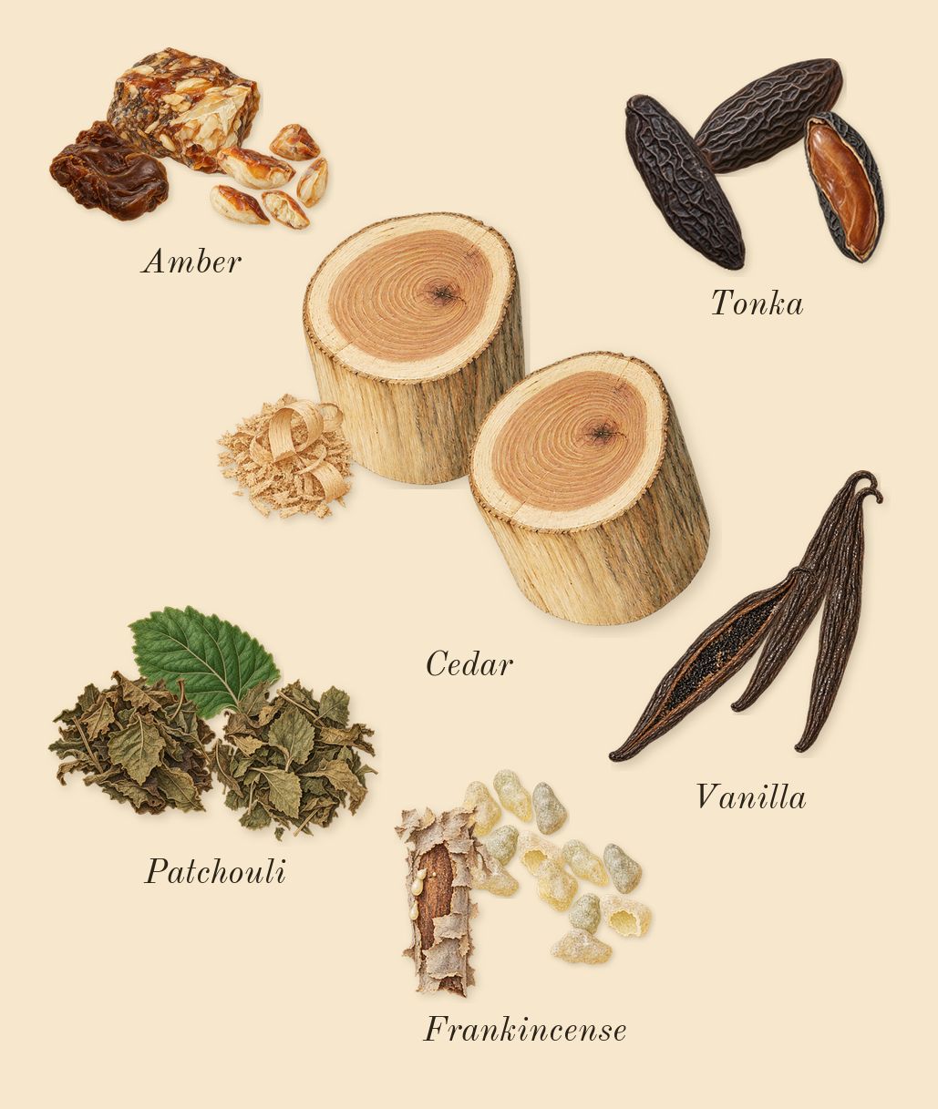 His Confession, dry-down: Vanilla, Tonka, Patchouli, Cedar, Frankincense