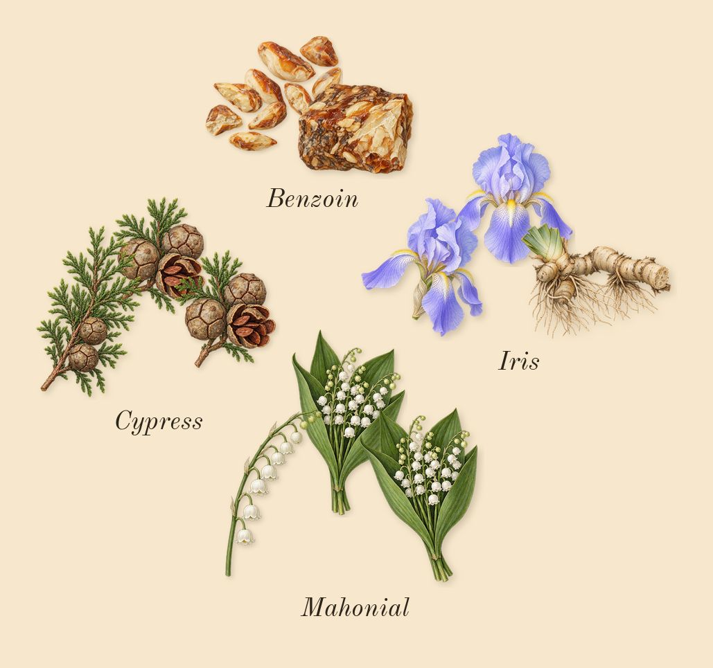His Confession, heart: Iris, Cypress, Benzoin, Mahonial