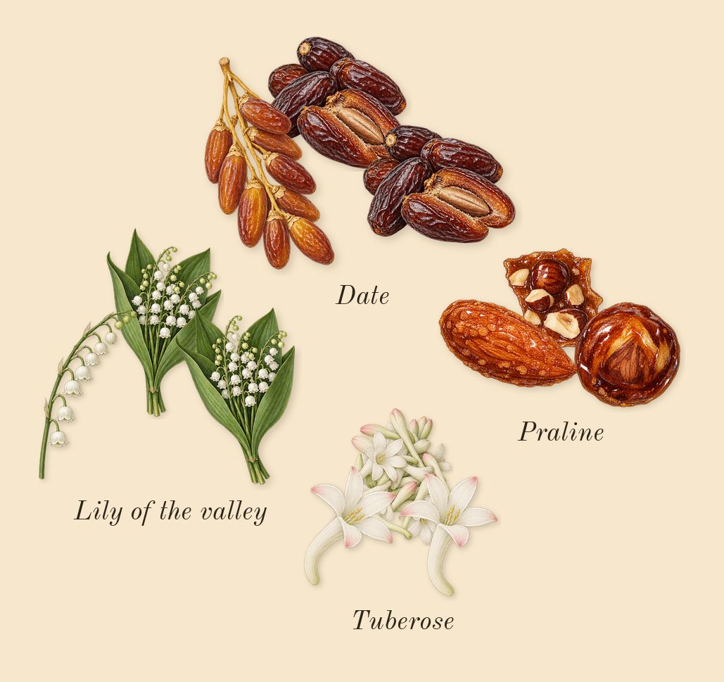 Khamrah, heart: Date, Lily of the valley, Praline, Tuberose
