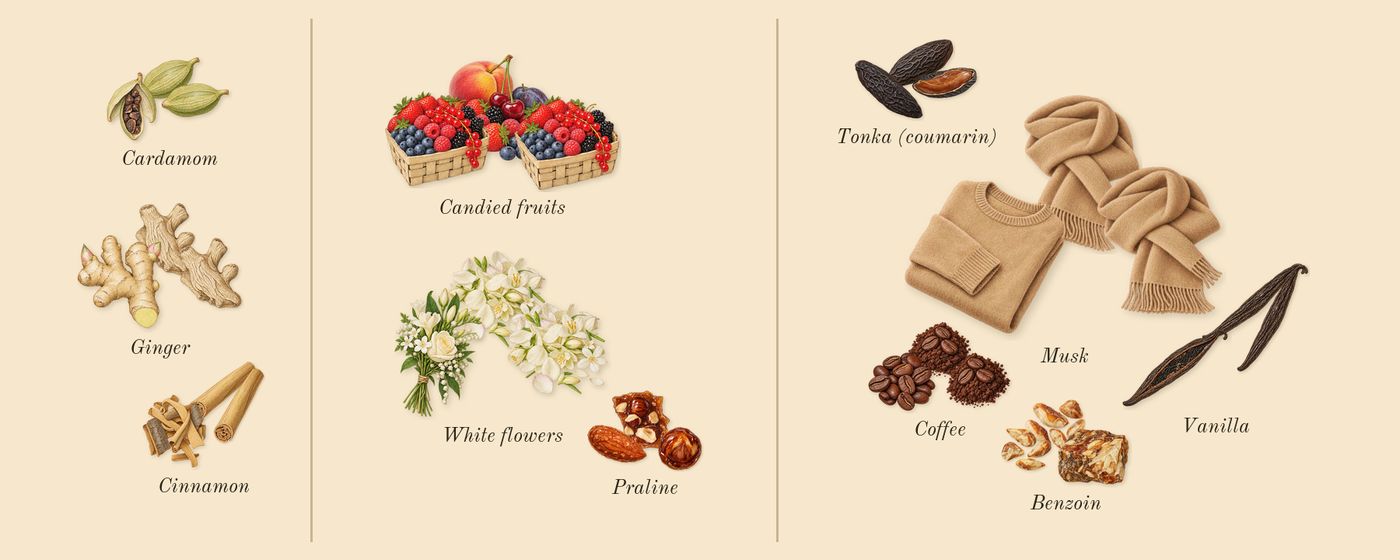 Khamrah Qahwa’s scent picture, a draft: ginger, cinnamon, cardamom, praline, candied fruits, white flowers drawn so far; dashed outlines where nothing is drawn yet