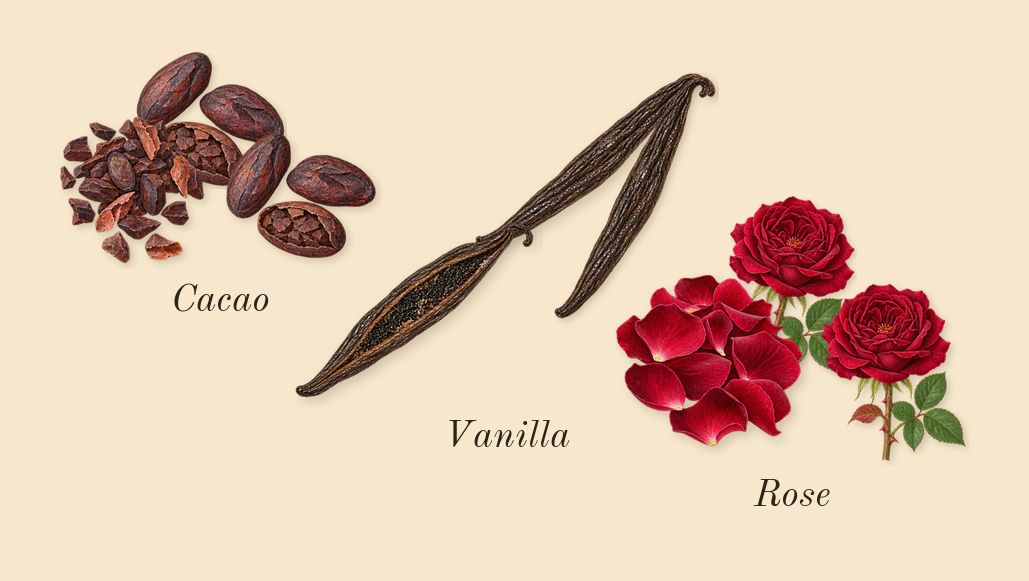 Nebras, heart: Vanilla, Cacao, Rose