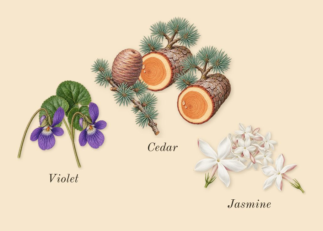 Opulent Dubai, heart: Jasmine, Violet, Cedar