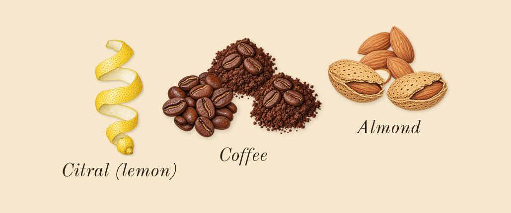 Qimmah for Women, top notes: Almond, Coffee, Citral (lemon)