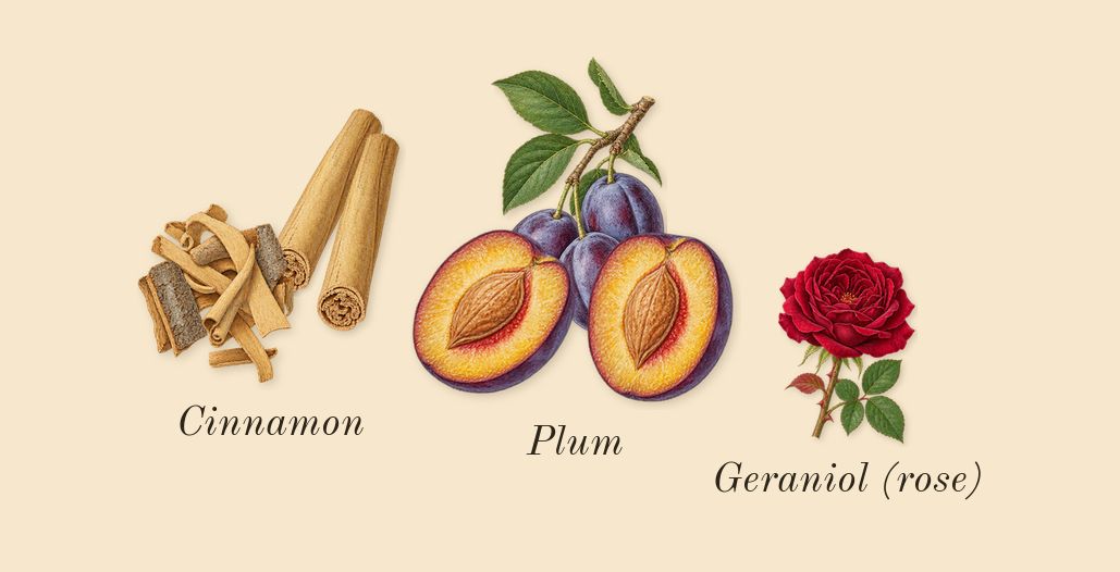 Teriaq Intense, heart: Plum, Cinnamon, Geraniol (rose)