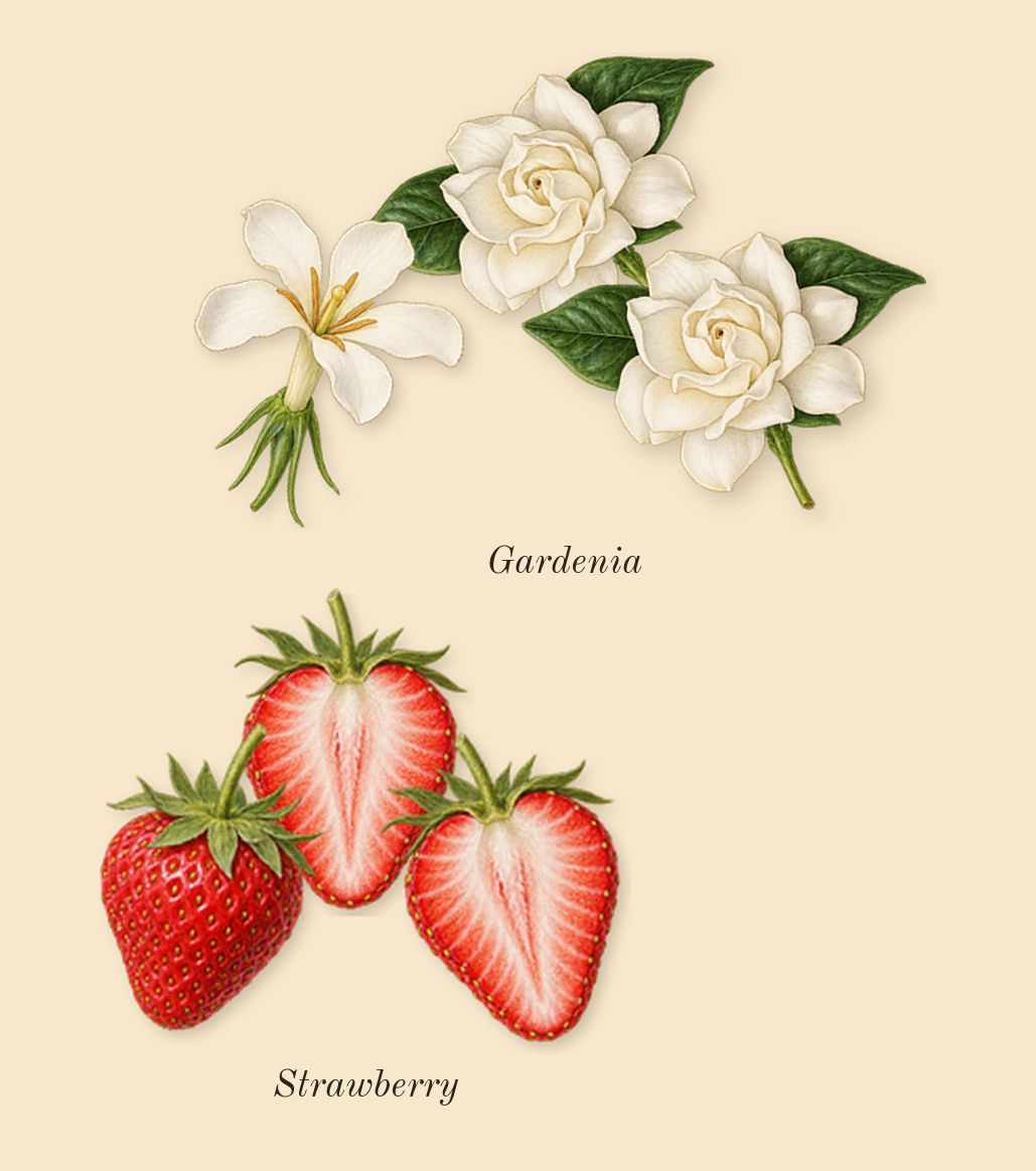 Yara Candy, heart: Strawberry, Gardenia