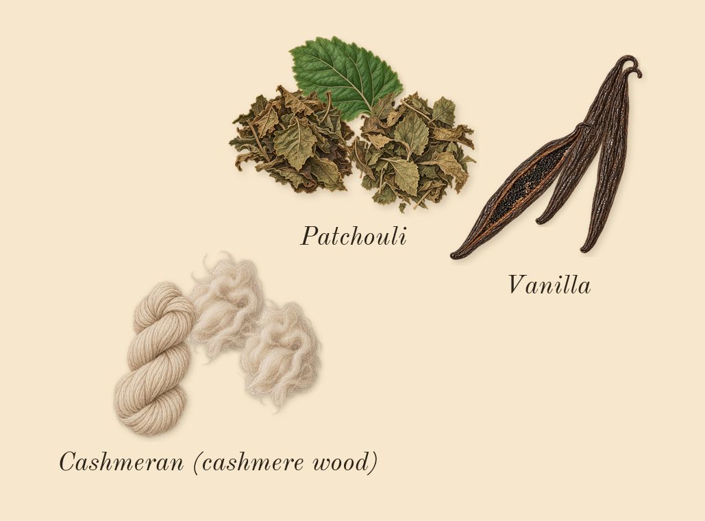 Yara Moi, dry-down: Vanilla, Cashmeran (cashmere wood), Patchouli