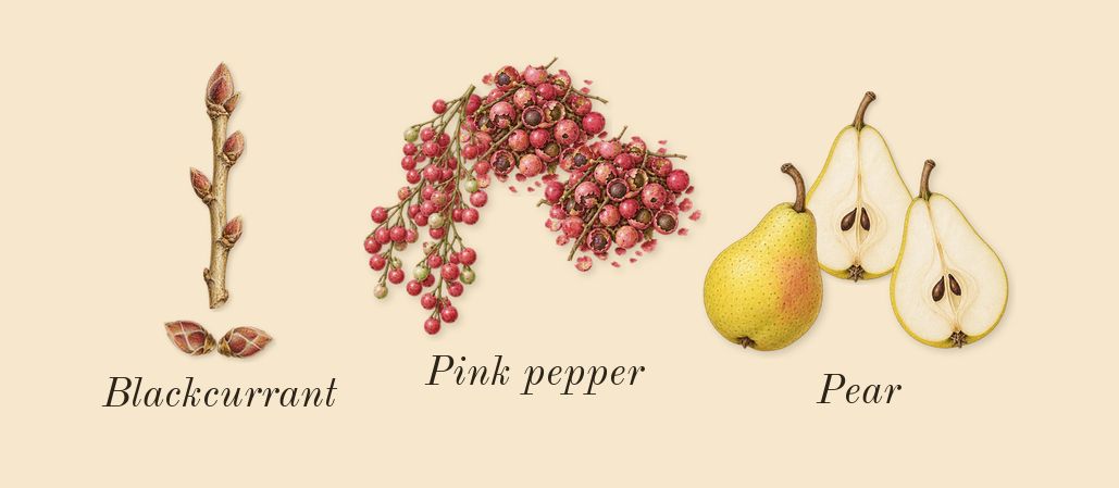 Yara Moi, top notes: Pear, Pink pepper, Blackcurrant