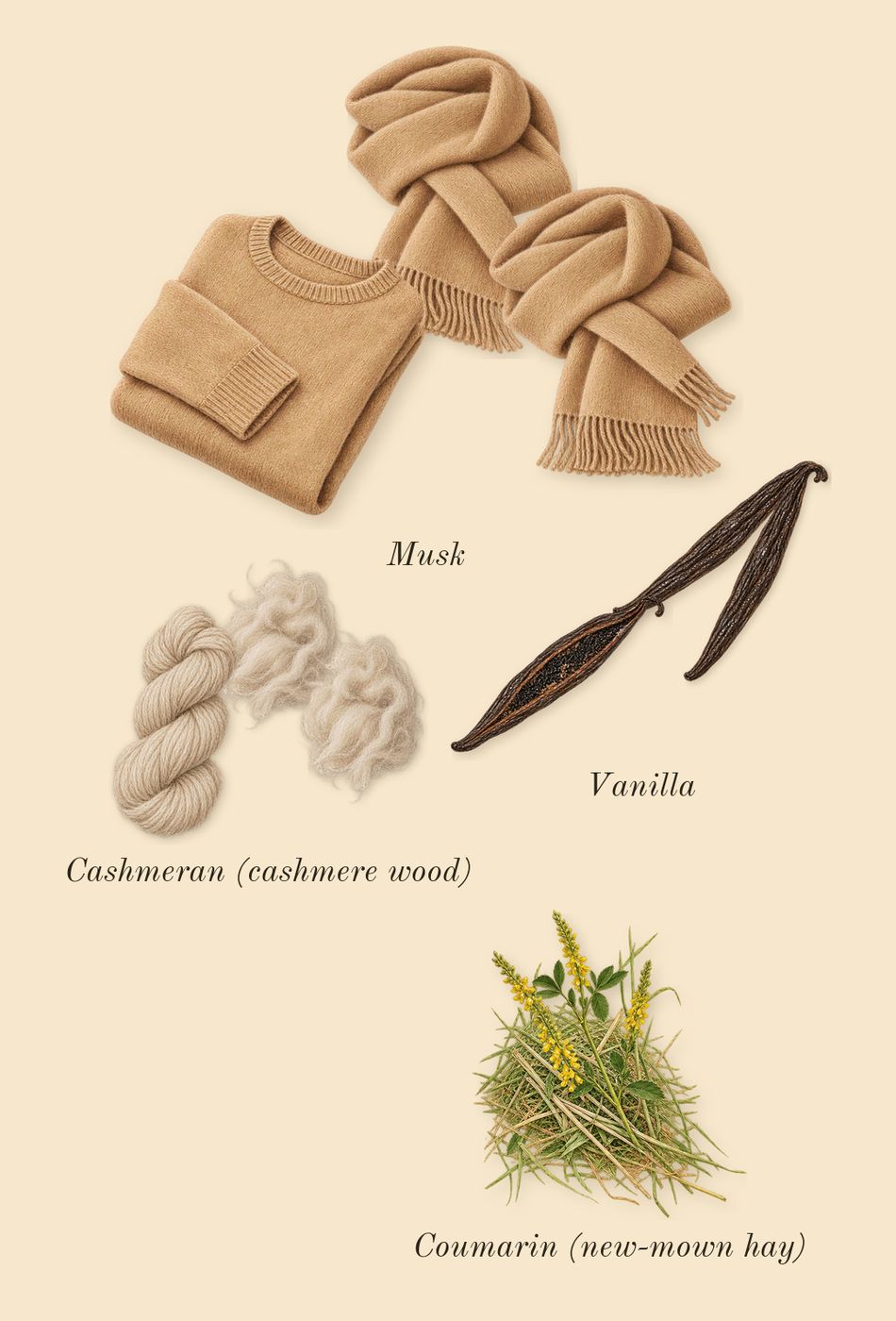 Yara Tous, dry-down: Cashmeran (cashmere wood), Vanilla, Musk, Coumarin (new-mown hay)