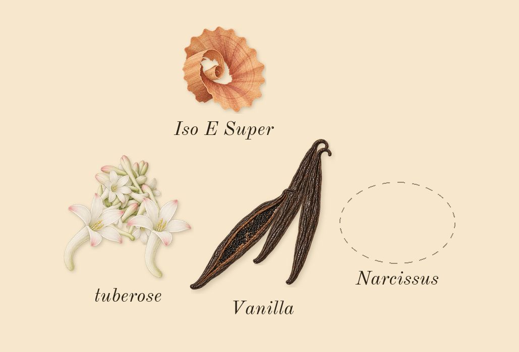 Aldehyde 44, dry-down: Narcissus, tuberose, Vanilla, Iso E Super