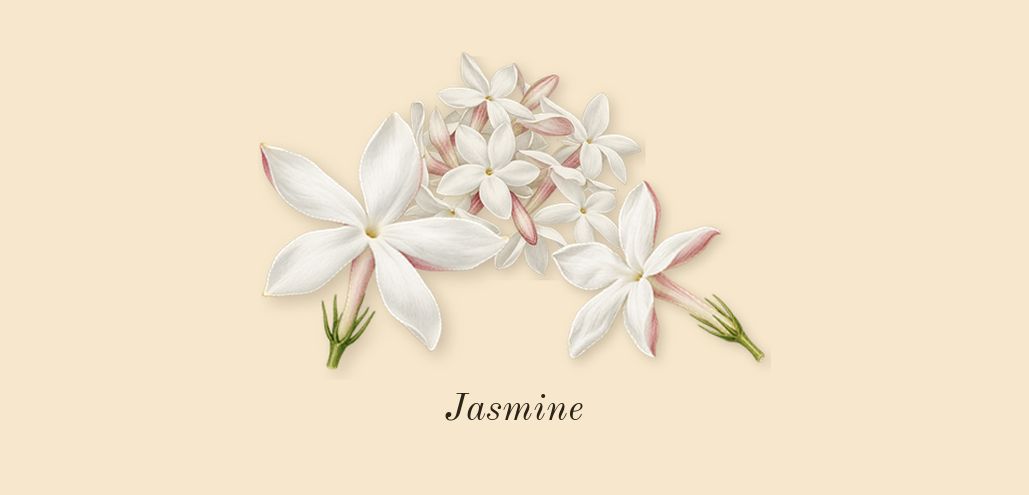 Another 13, heart: Jasmine
