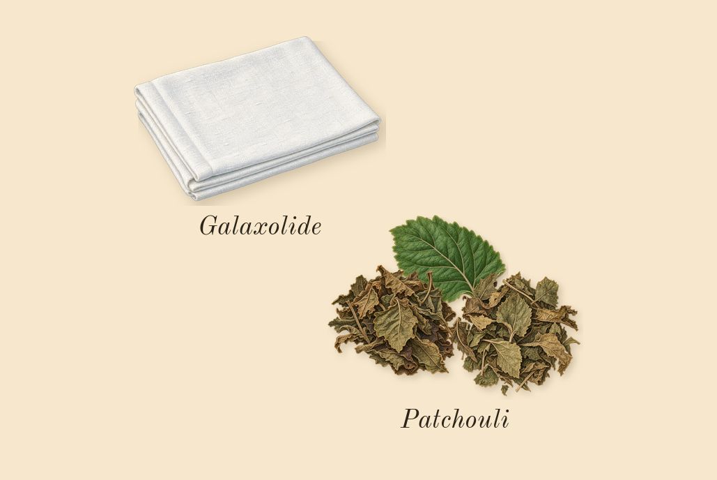 Baie 19, dry-down: Patchouli, Galaxolide