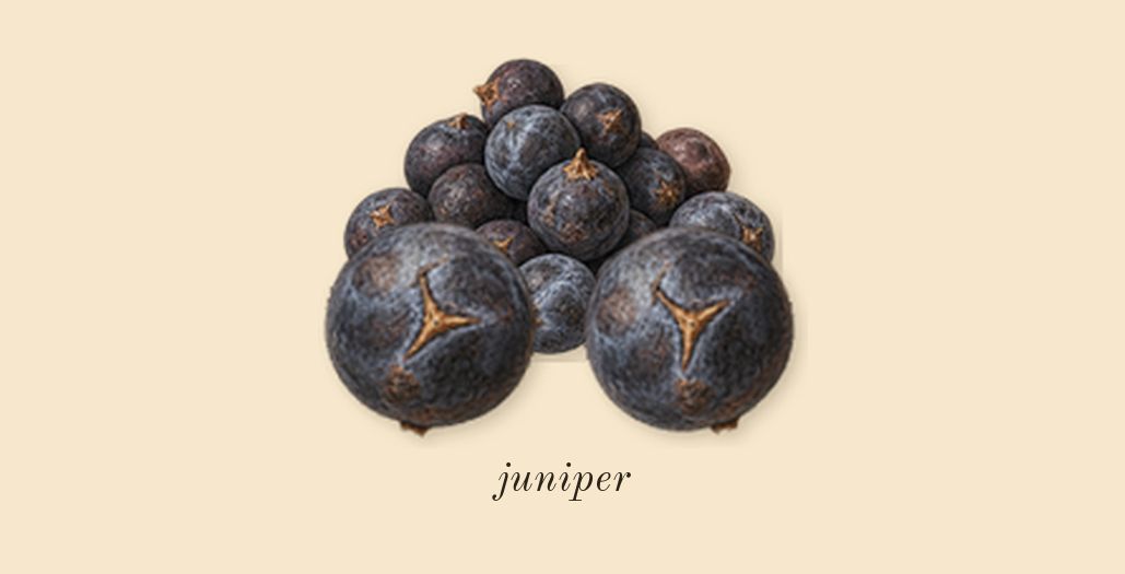 Baie 19, top notes: juniper