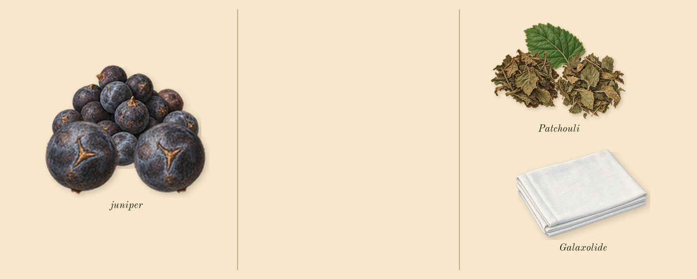 Baie 19’s scent picture, a draft: juniper, patchouli, galaxolide drawn so far; dashed outlines where nothing is drawn yet