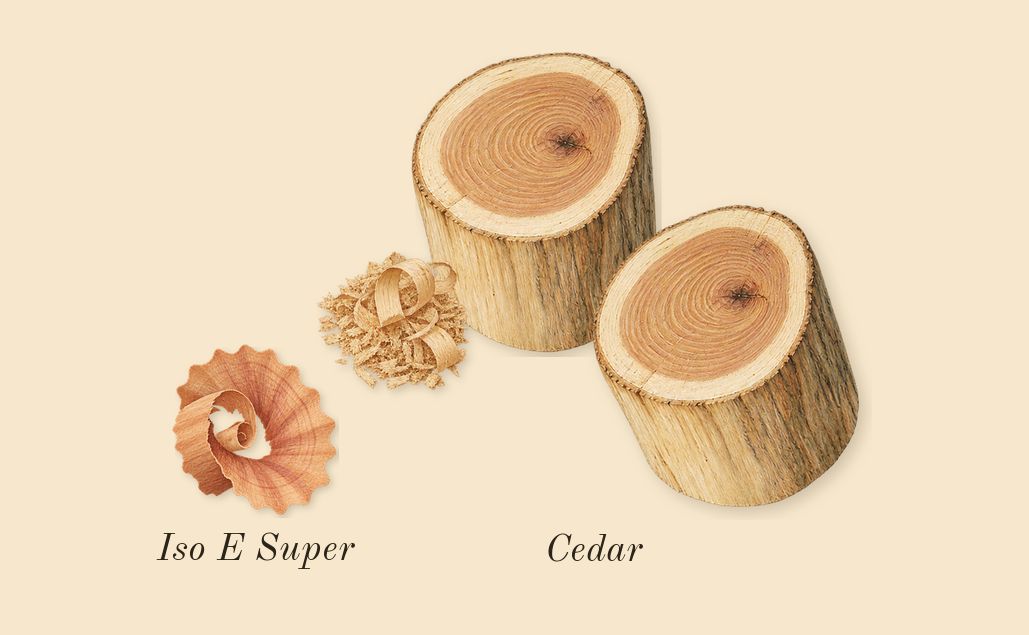 Baie Rose 26, dry-down: Cedar, Iso E Super