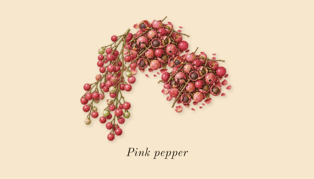 Baie Rose 26, top notes: Pink pepper