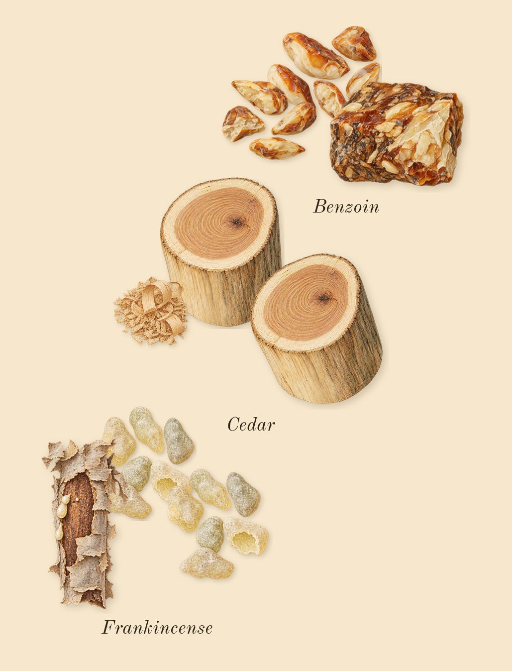 Benjoin 19, dry-down: Benzoin, Frankincense, Cedar