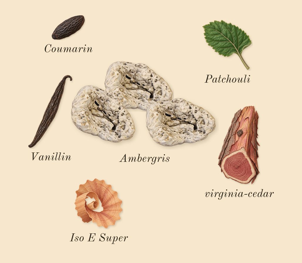 Cédrat 37, dry-down: Ambergris, virginia-cedar, Patchouli, Iso E Super, Coumarin, Vanillin
