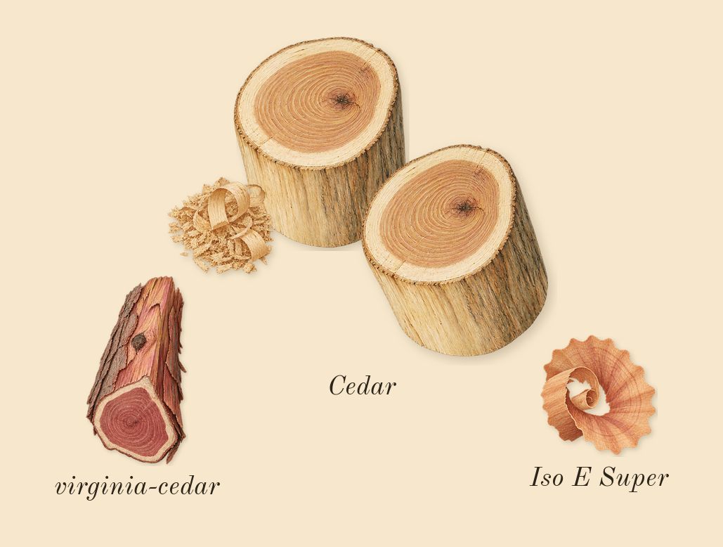 Citron 28, dry-down: Cedar, virginia-cedar, Iso E Super