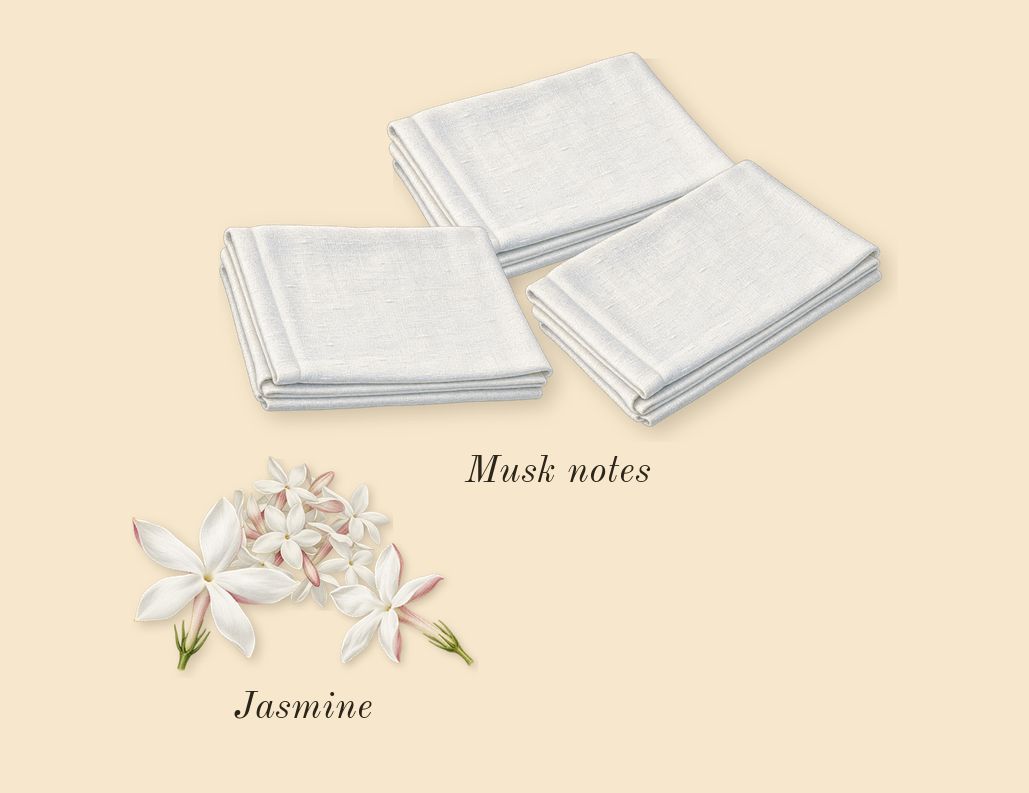 Citron 28, heart: Jasmine, Musk notes