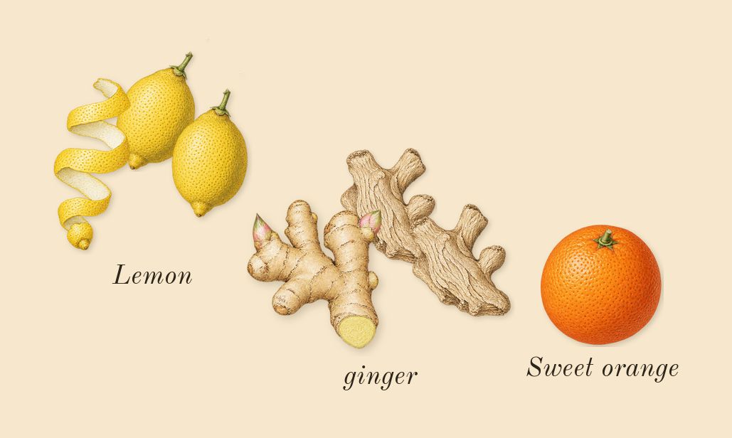 Citron 28, top notes: Lemon, ginger, Sweet orange