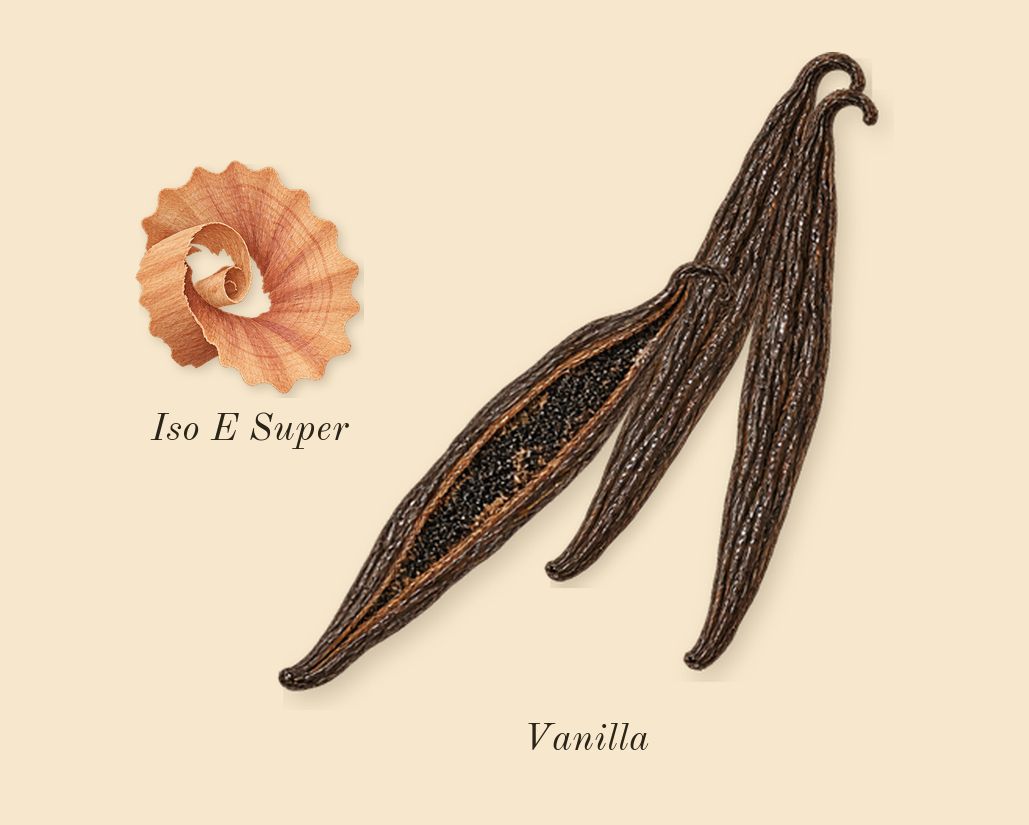 Cuir 28, dry-down: Vanilla, Iso E Super