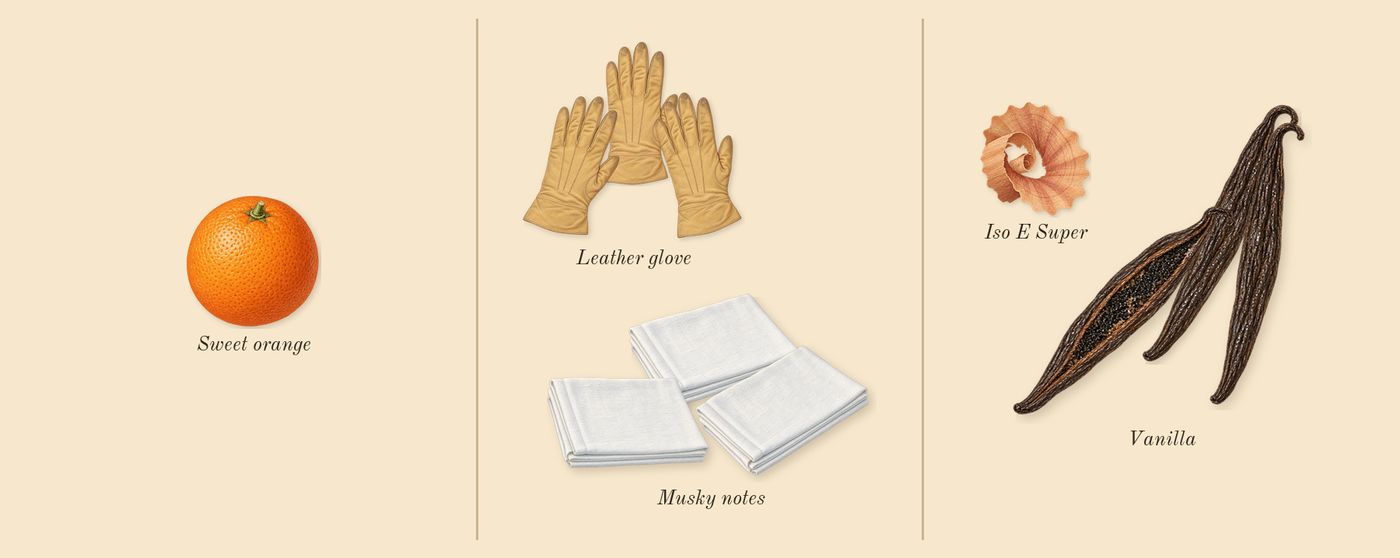 Cuir 28’s scent picture, a draft: leather glove, musky notes, vanilla, sweet orange, iso e super drawn so far; dashed outlines where nothing is drawn yet