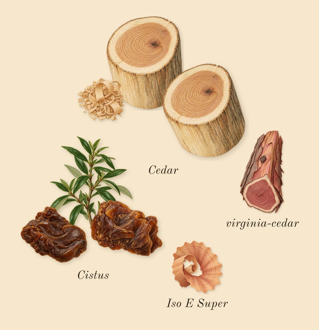 Eucalyptus 20, dry-down: Cedar, Cistus, virginia-cedar, Iso E Super