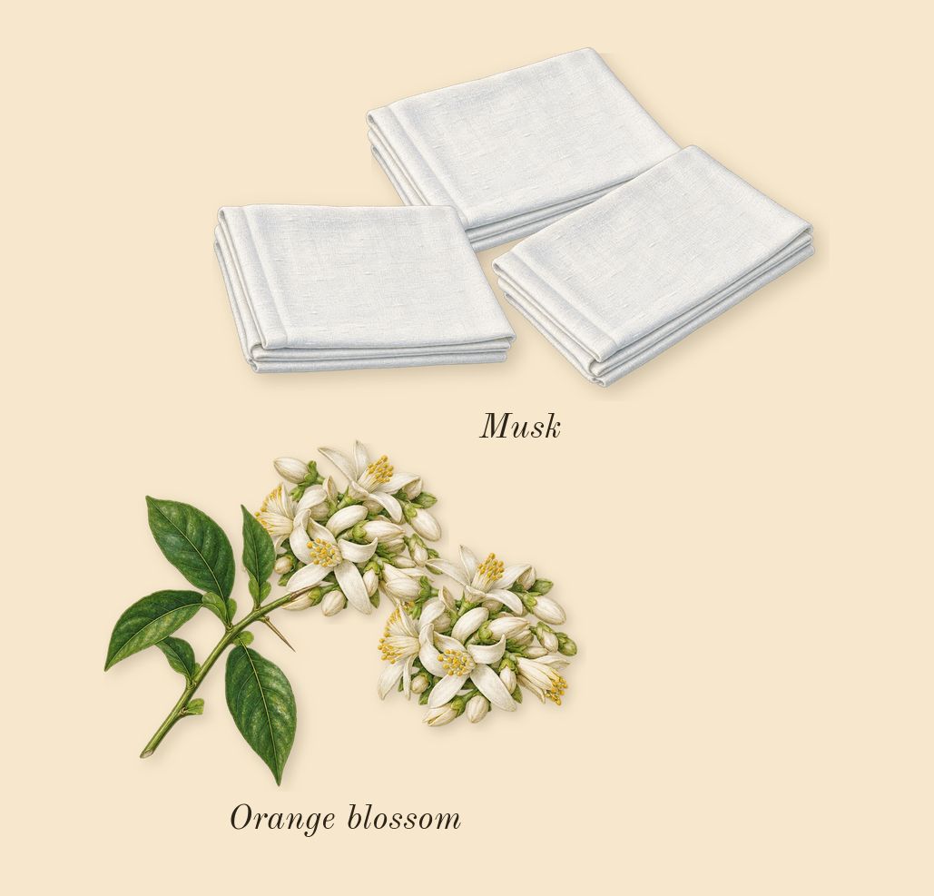 Fleur d'Oranger 27, heart: Orange blossom, Musk