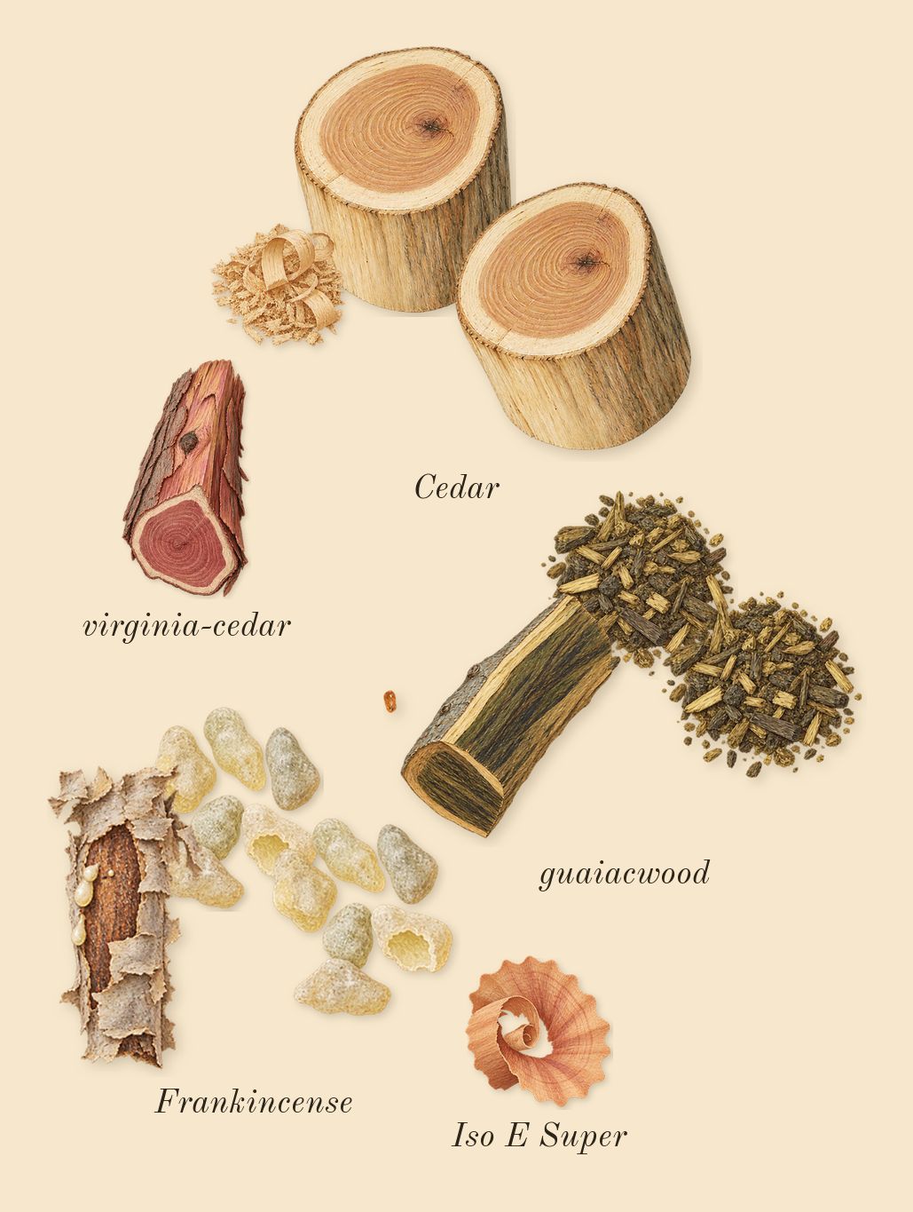 Gaïac 10, dry-down: guaiacwood, Cedar, Frankincense, virginia-cedar, Iso E Super