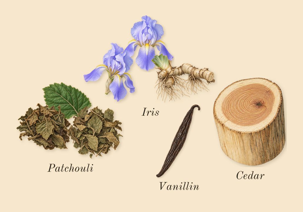 Iris 39, dry-down: Iris, Patchouli, Cedar, Vanillin