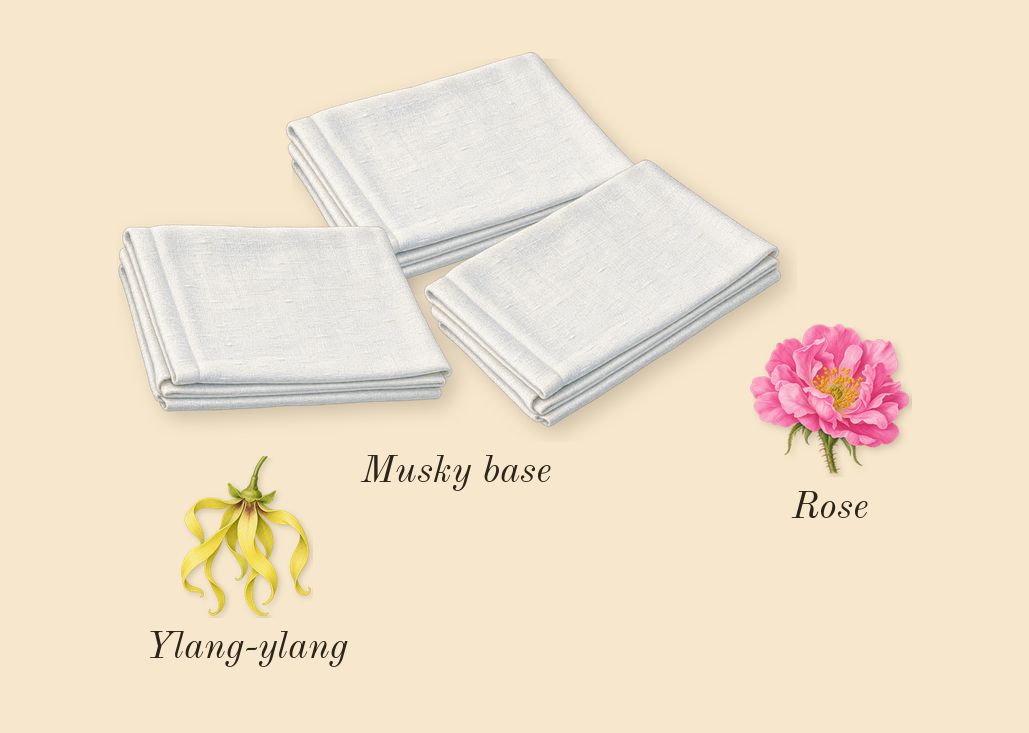 Iris 39, heart: Musky base, Ylang-ylang, Rose