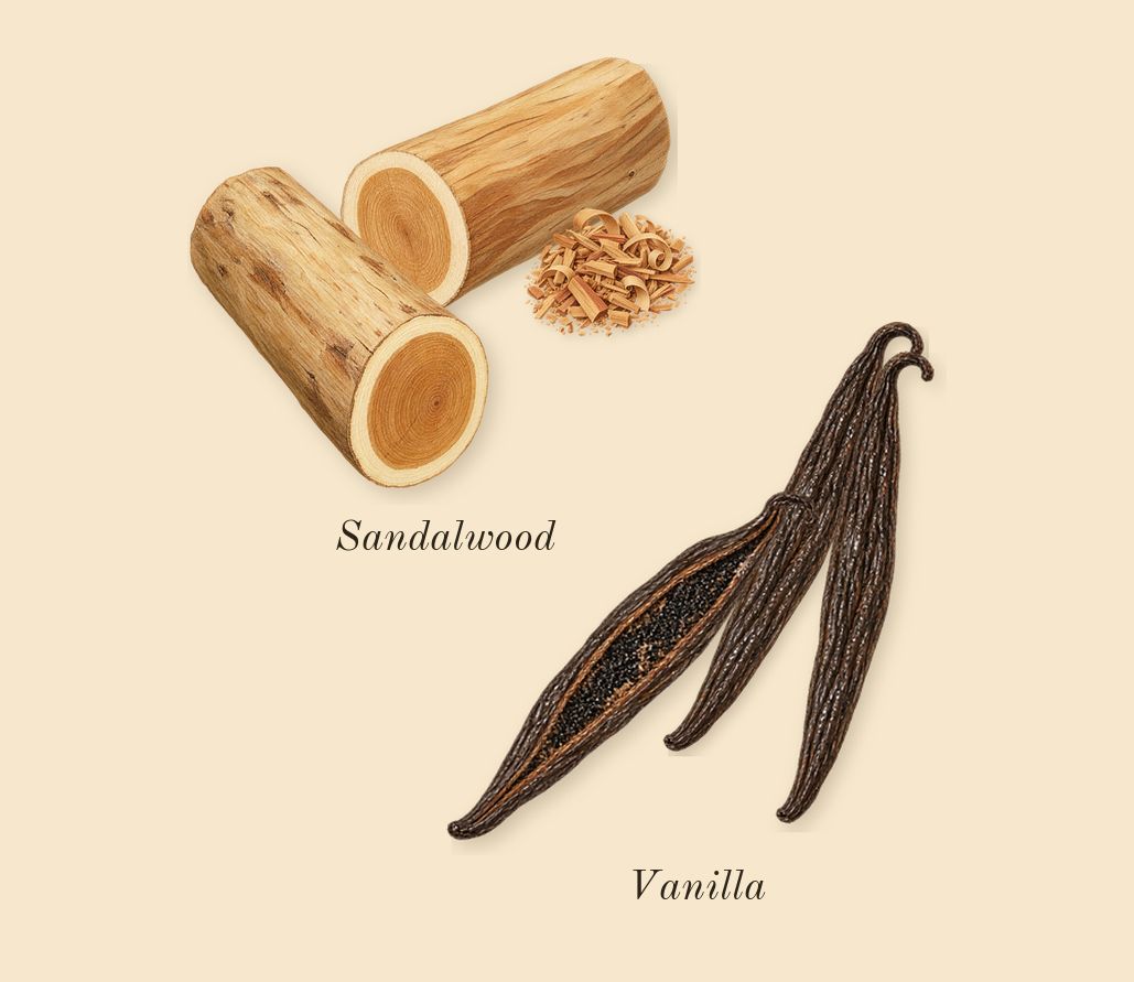 Jasmin 17, dry-down: Sandalwood, Vanilla